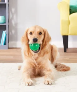 Pet Toy Elegant Shop -Pet Toy Elegant Shop 81065 PT1. SY630 V1545175587