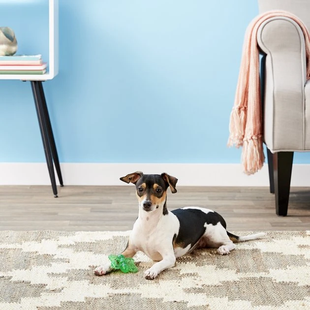 JW Pet Play Place Butterfly Puppy Teether, Color Varies JW Pet Play Place Butterfly Puppy Teether, Color Varies -Pet Toy Elegant Shop 81068 PT1. SY630 V1543602759