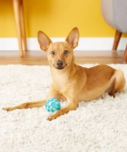 JW Pet ProTEN Hol-ee Roller Dog Toy 4 JW Pet ProTEN Hol-ee Roller Dog Toy -Pet Toy Elegant Shop 81082 PT2. SY630 V1531518749