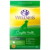 Wellness Complete Health Adult Lamb & Barley Recipe Dry Dog Food 1 Wellness Complete Health Adult Lamb & Barley Recipe Dry Dog Food -Pet Toy Elegant Shop 95659 MAIN. SY630 V1605831746