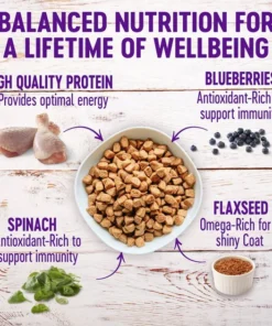 Wellness Complete Health Puppy Deboned Chicken, Oatmeal & Salmon Meal Recipe Dry Dog Food 11 Wellness Complete Health Puppy Deboned Chicken, Oatmeal & Salmon Meal Recipe Dry Dog Food -Pet Toy Elegant Shop 95662 PT2. SY630 V1629821802