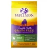 Wellness Grain-Free Complete Health Adult Lamb & Lamb Meal Recipe Dry Dog Food -Pet Toy Elegant Shop 95679 MAIN. SY630 V1605739980