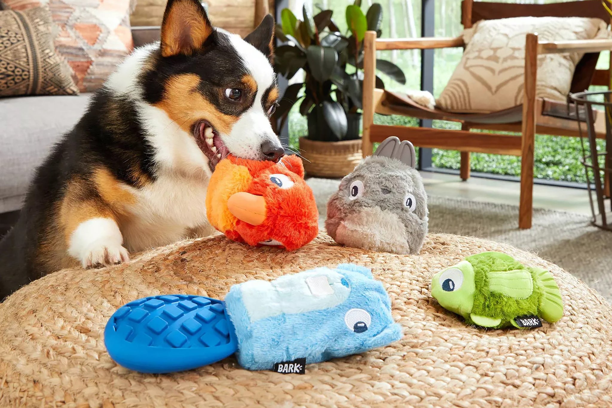Pet Toy Elegant Shop -Pet Toy Elegant Shop dog toys 2048px 0010